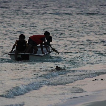 Summer Shade Maldives دارافاندهو المظهر الخارجي الصورة